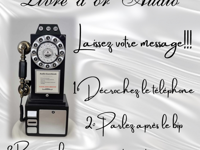 BORNE A SELFIE TELEPHONE LIVRE AUDIO SAINT ROMAIN DE COLBOSC LE HAVRE BOLBEC YVETOT