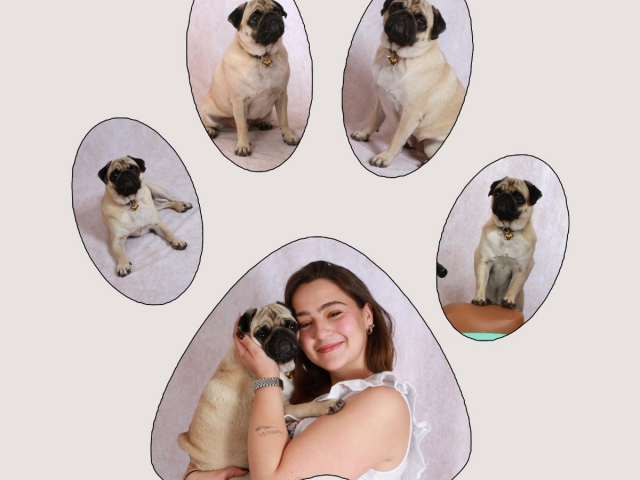  Un souvenir unique pour célébrer votre compagnon chez Studio Photo Laetitia